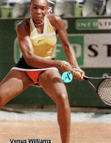 Venus Williams tetas